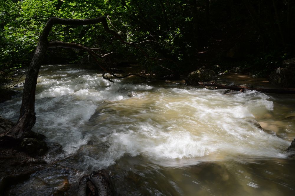 Photograph by Екатерина Крючкова