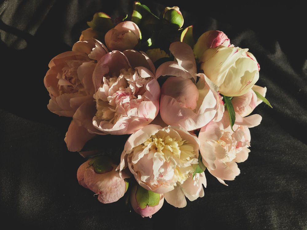 Невыносимая нежность бытия