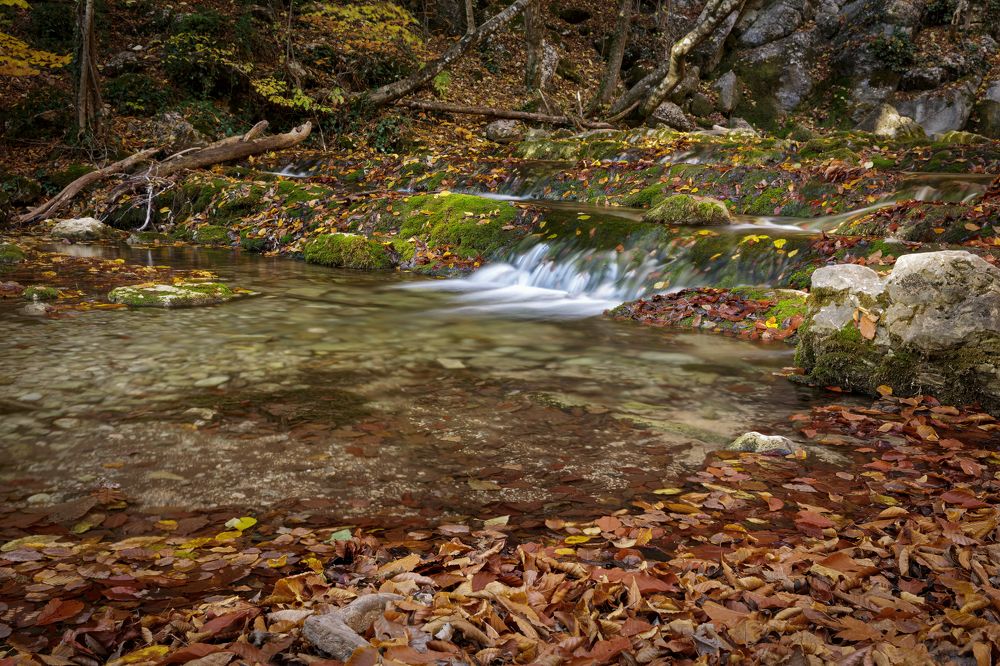 Mountain river in the forest in autumn.