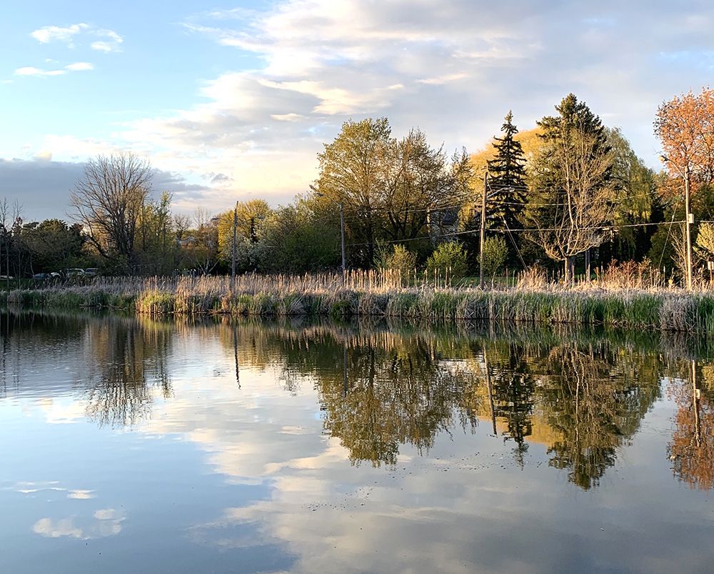 Photograph by Liliana Grup