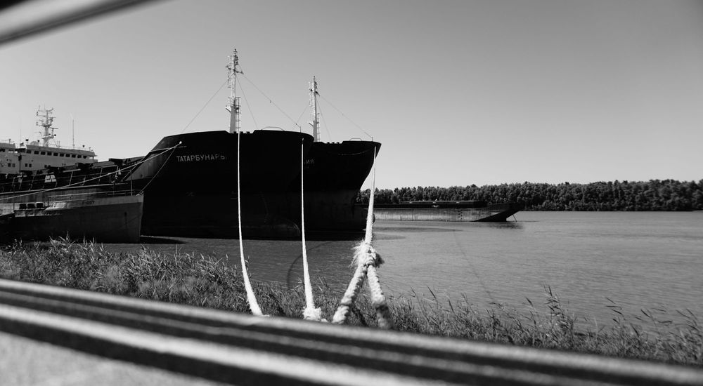 Фотография автора Алина Прищепа