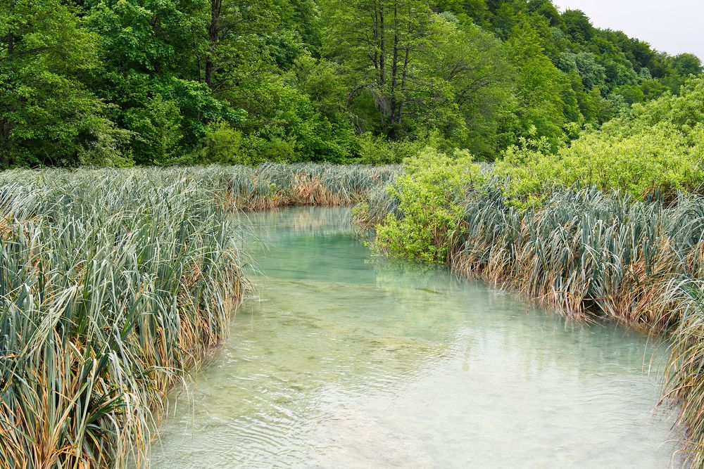 Photograph by Ilja Enger-Tsizikov