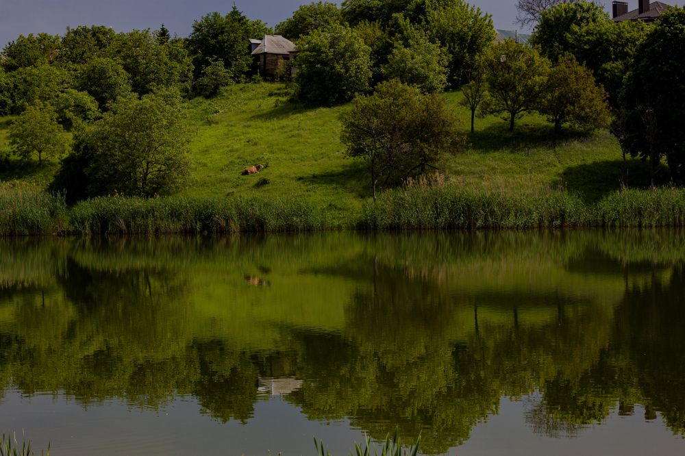 Фотография автора Вадим Кузнецов