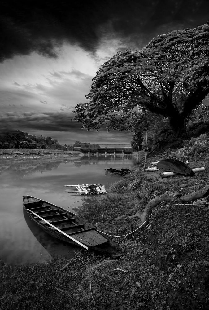 Photograph by Pinak Paul