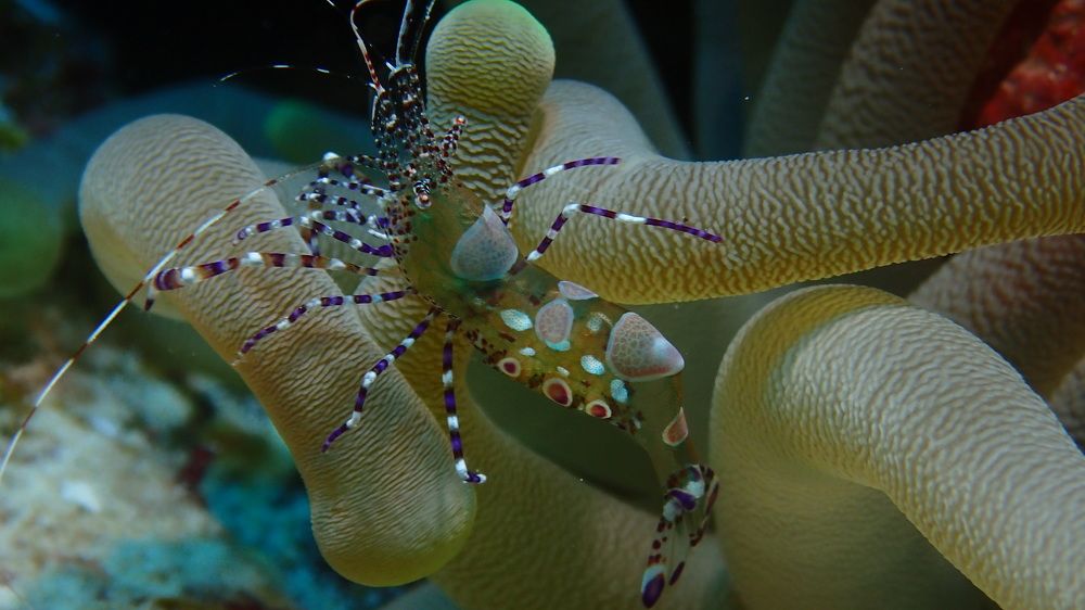 Photograph by Olaf fischer