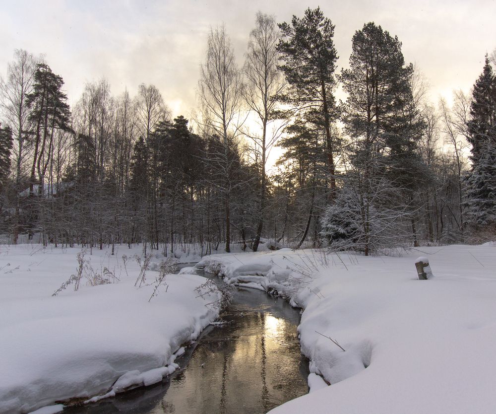 Фотография автора Ольга Бонина