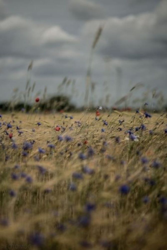 Photograph by Віталій Махновець
