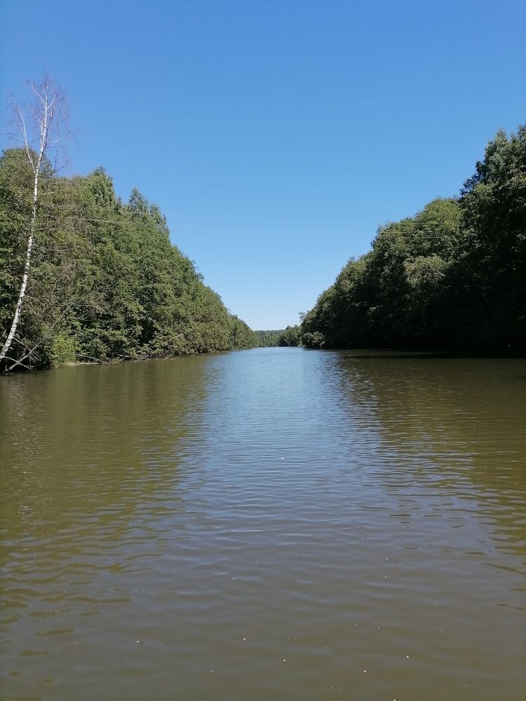 Photo #6286089