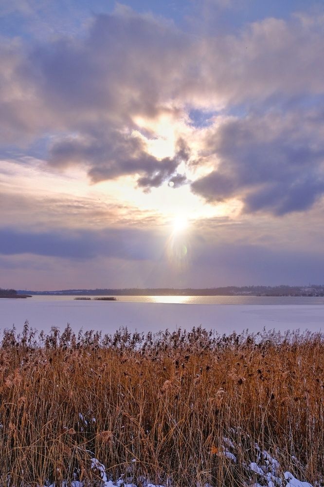 Photograph by Алексей Большаков