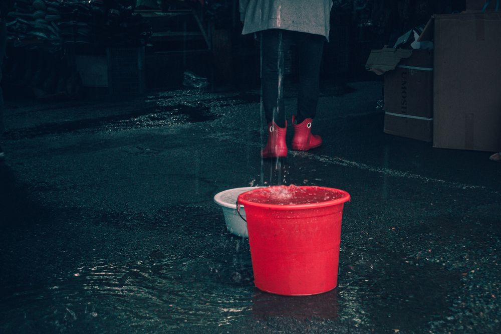 Photograph by Алексей Перегудин