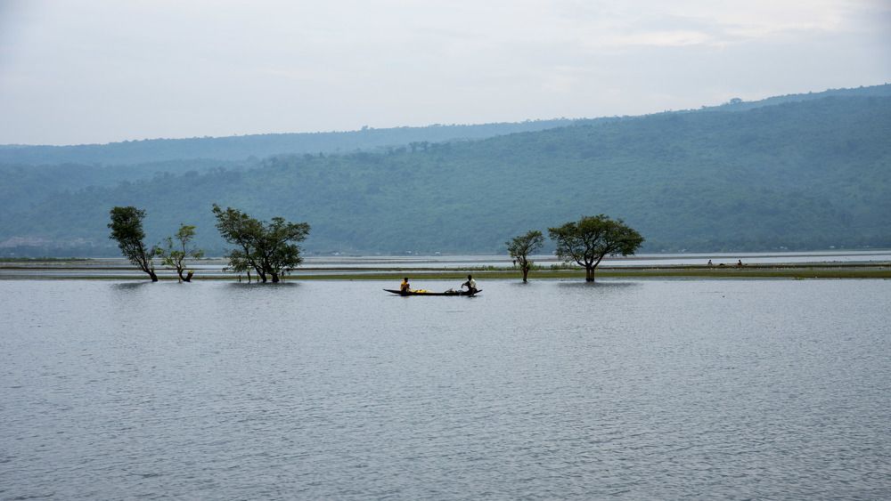 Photograph by A. M. Shafiqul Islam