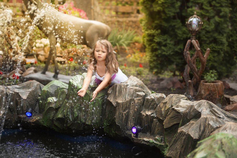 Photograph by Галина Шеватурина