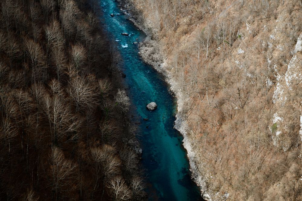 Photograph by Juls Demidova