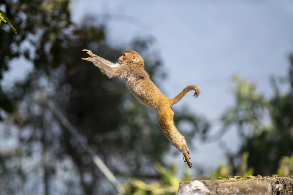 Photograph by Preet saluja