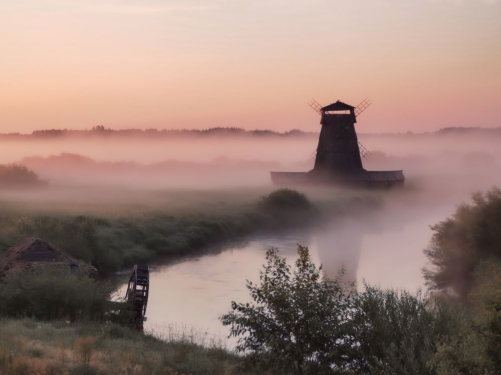 Photograph by Дарья