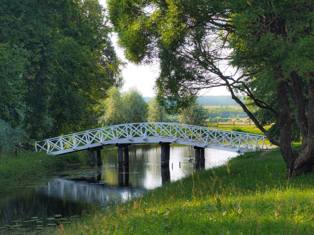 Photograph by Дарья