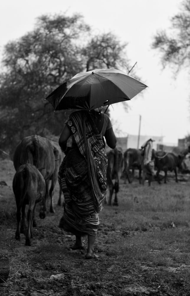 Photograph by Kartick Panja