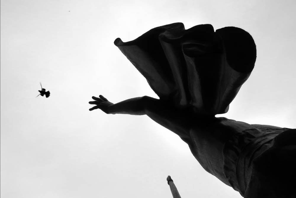 Photograph by Дмитрий Шаматажи