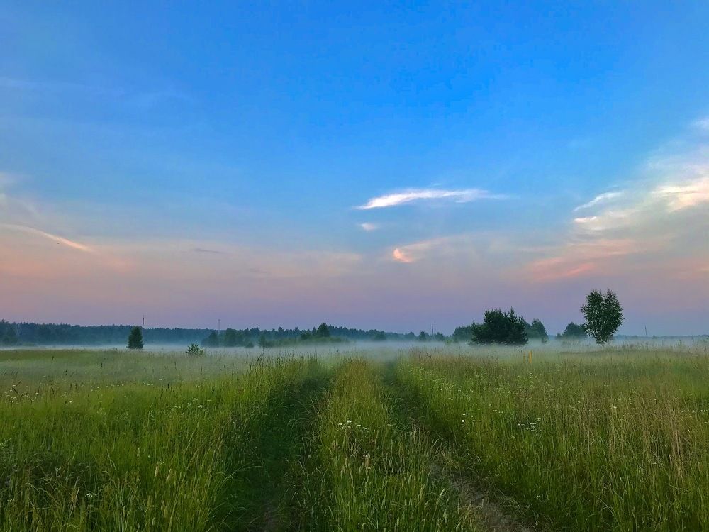 Photograph by Михаил Некрасов