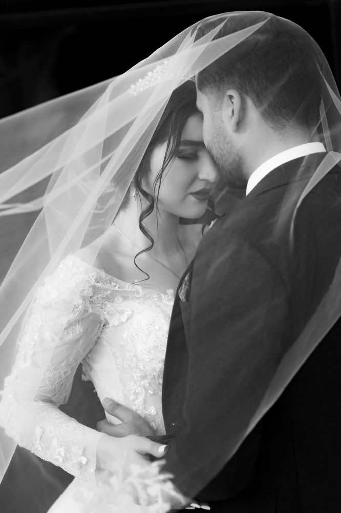 Photograph by Reza Mohammadi