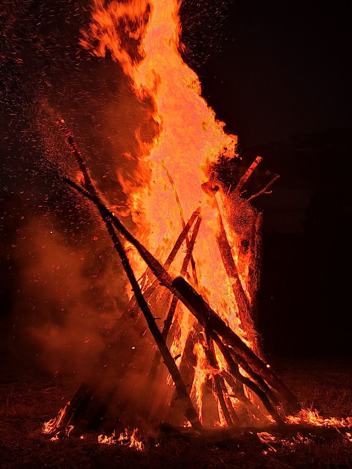 Photo #6286530