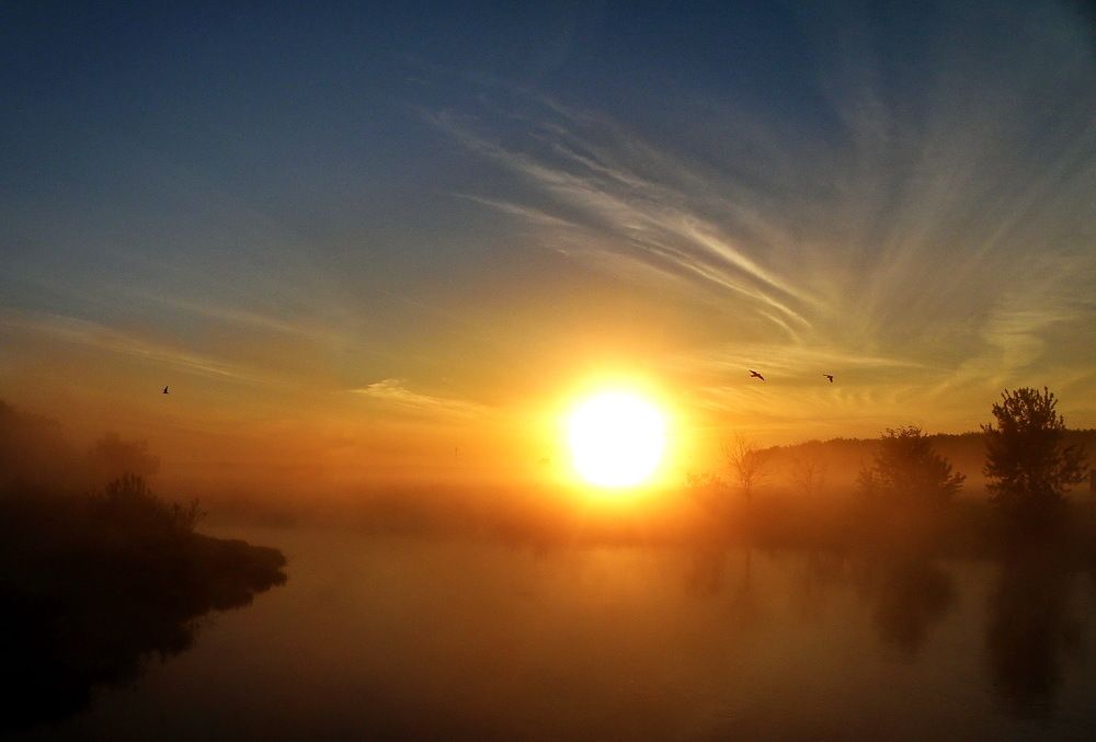 Photograph by Сергей Дружаев