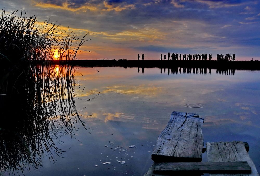 Photograph by Сергей Дружаев