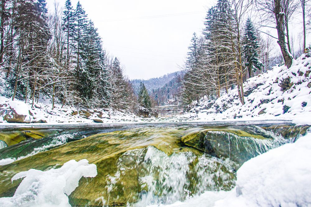 Photograph by Наталия Ковалева