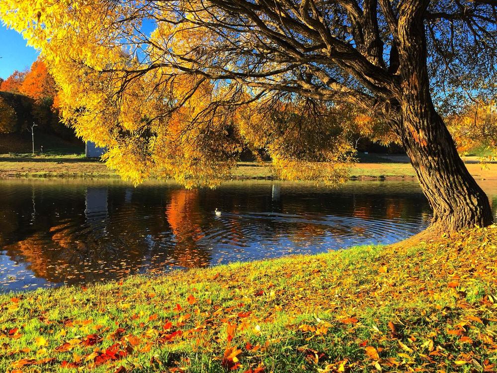 Photograph by Olga Asson