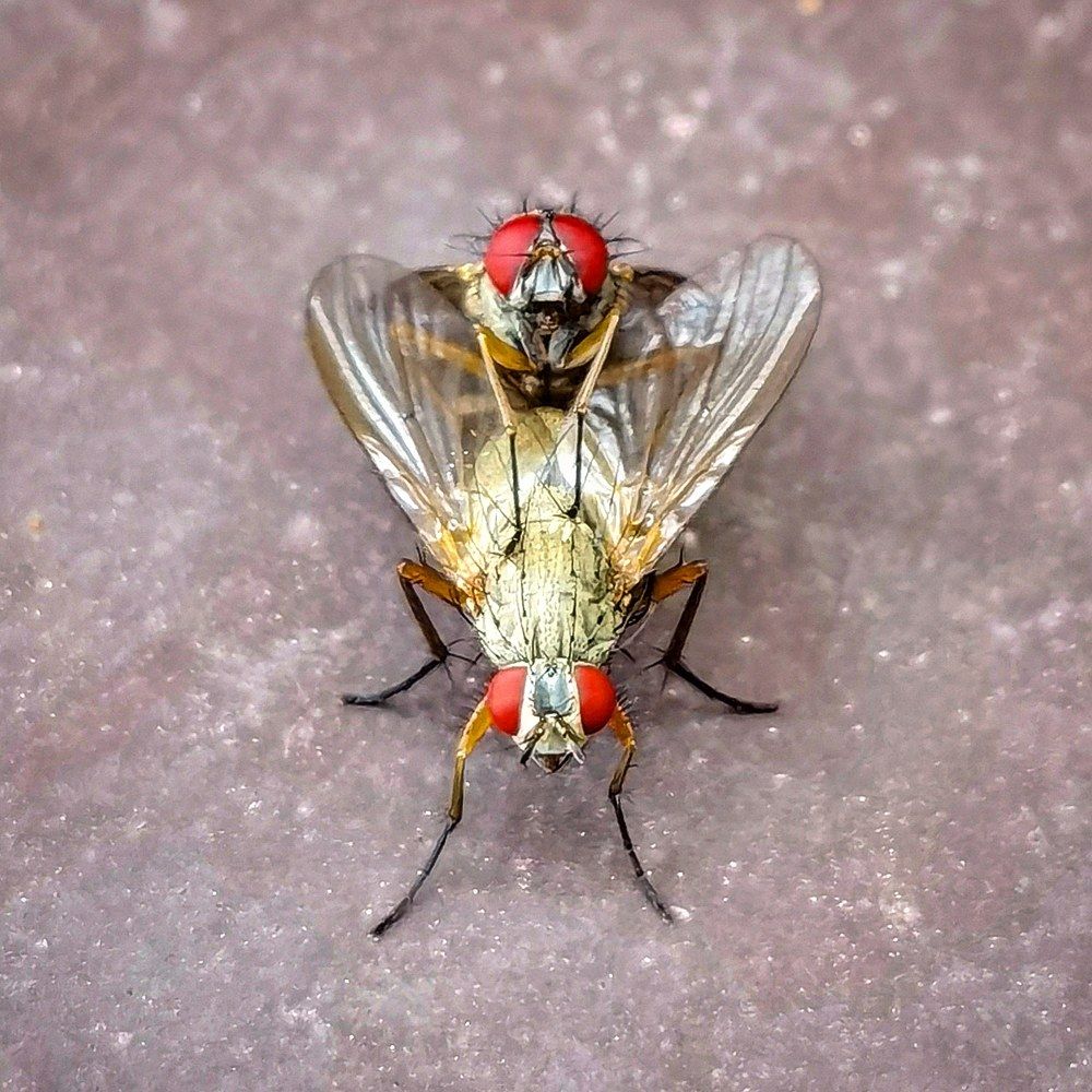 Легкий массаж)