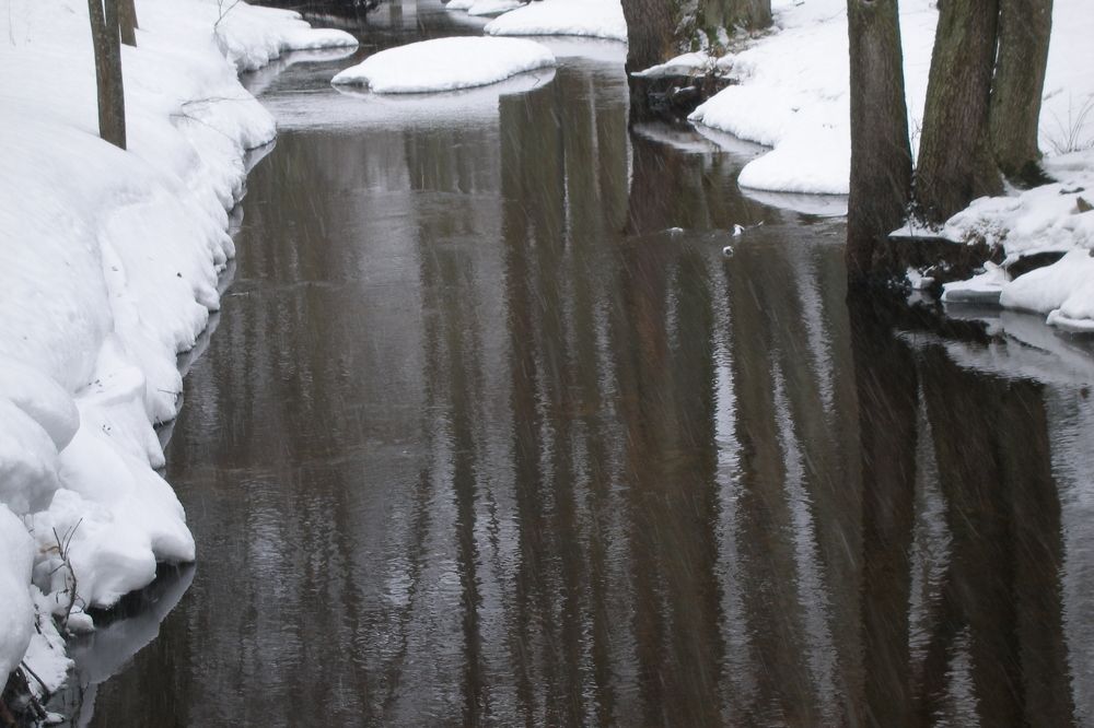 Photograph by Viktors Giršsons