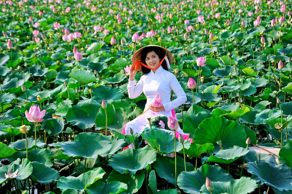 Nghiêng nghiêng chiếc nón bài thơ