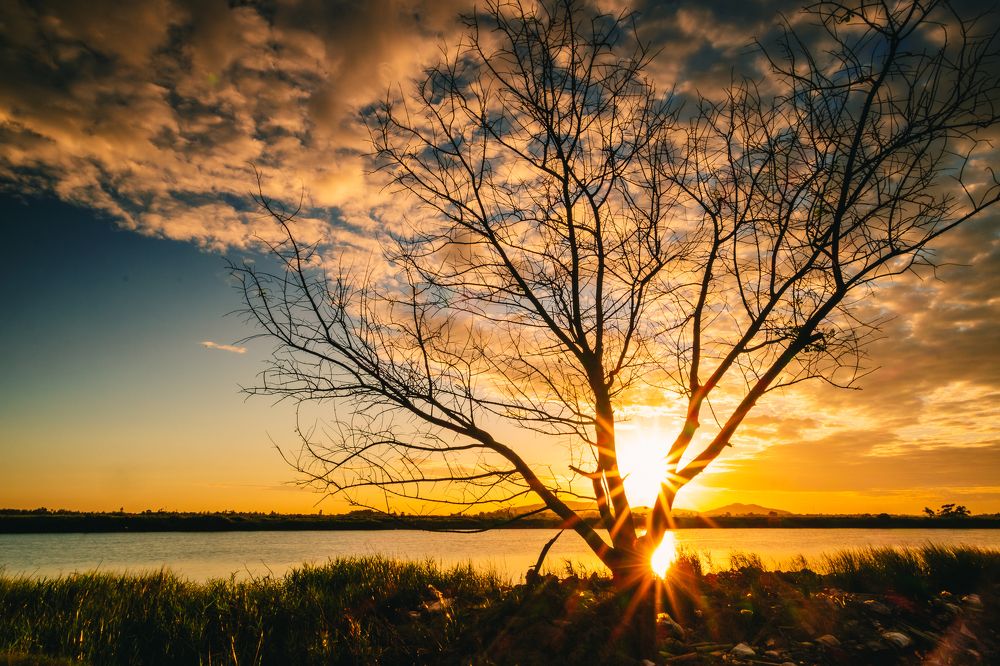 Photograph by Nguyen Ngoc Tuan