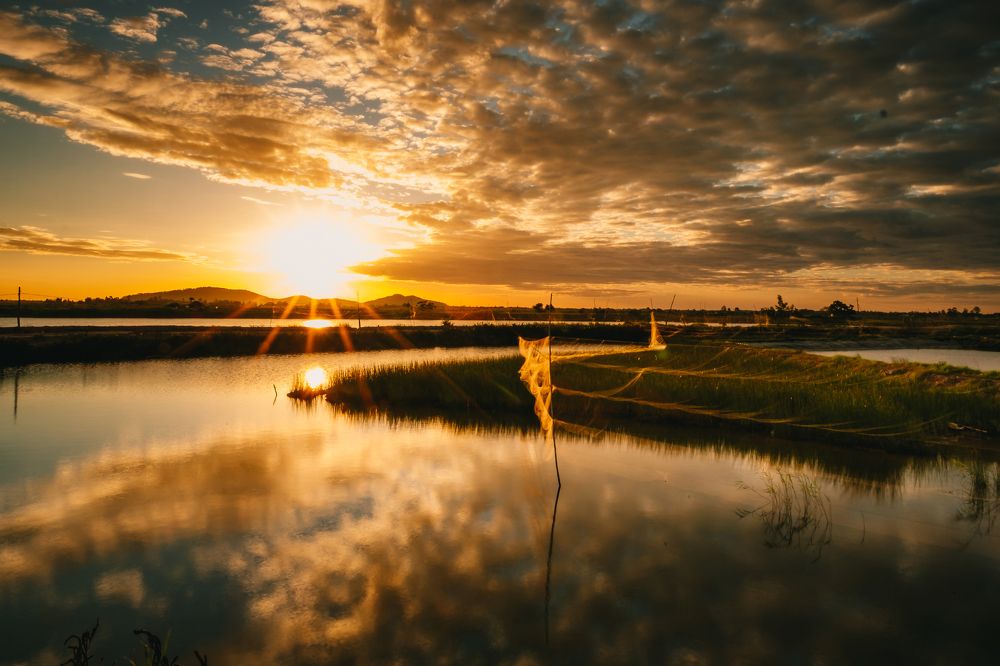 Photograph by Nguyen Ngoc Tuan