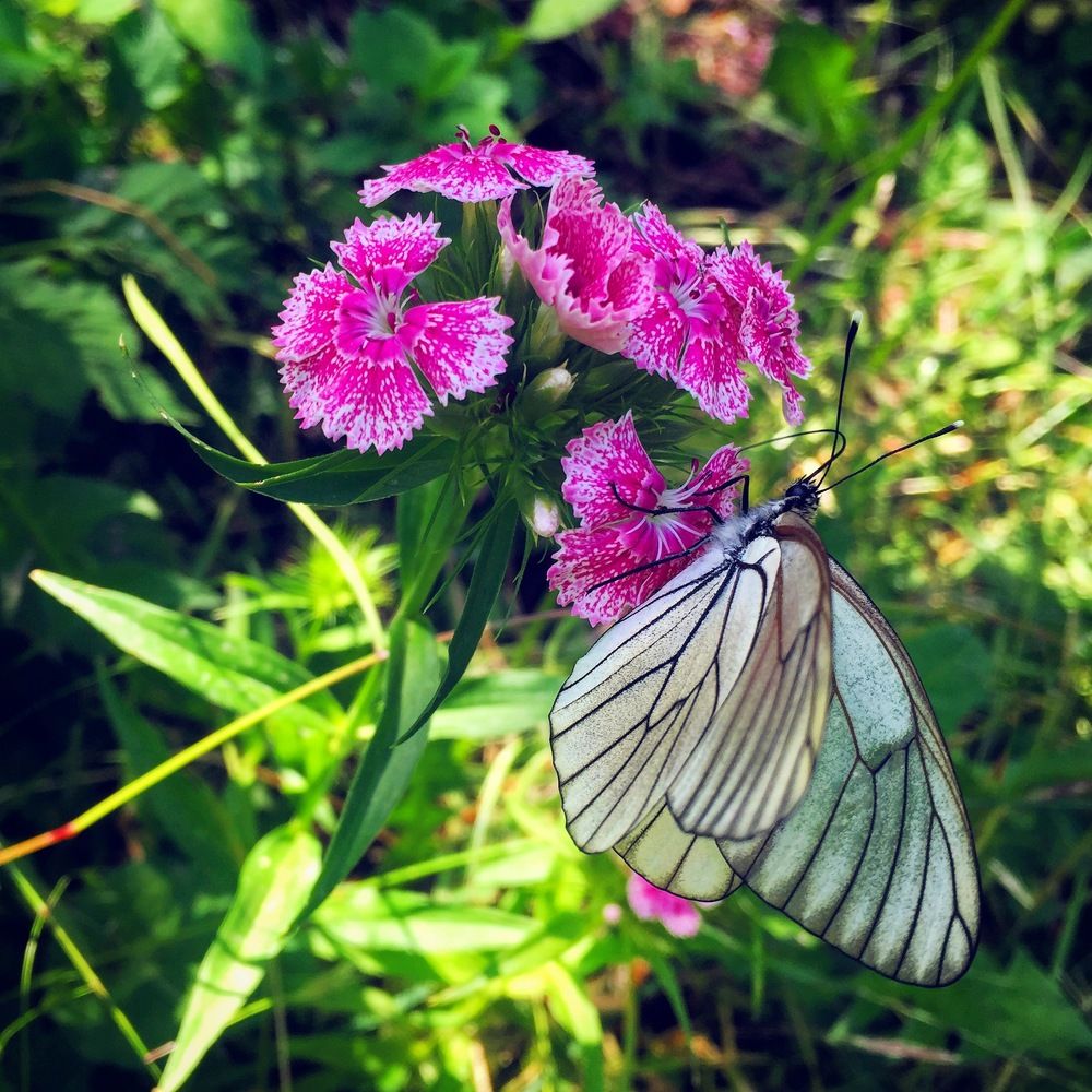 Фотография автора Алянур Юлдашева