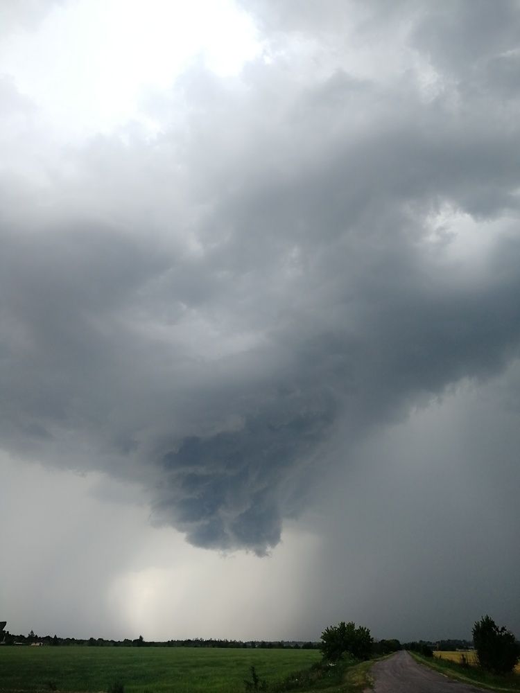 Thor went downstairs.. But changed his mind