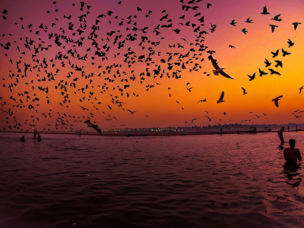 Photograph by Utkarsh Sinha