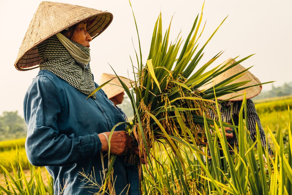 Photograph by Nguyen Ngoc Tuan