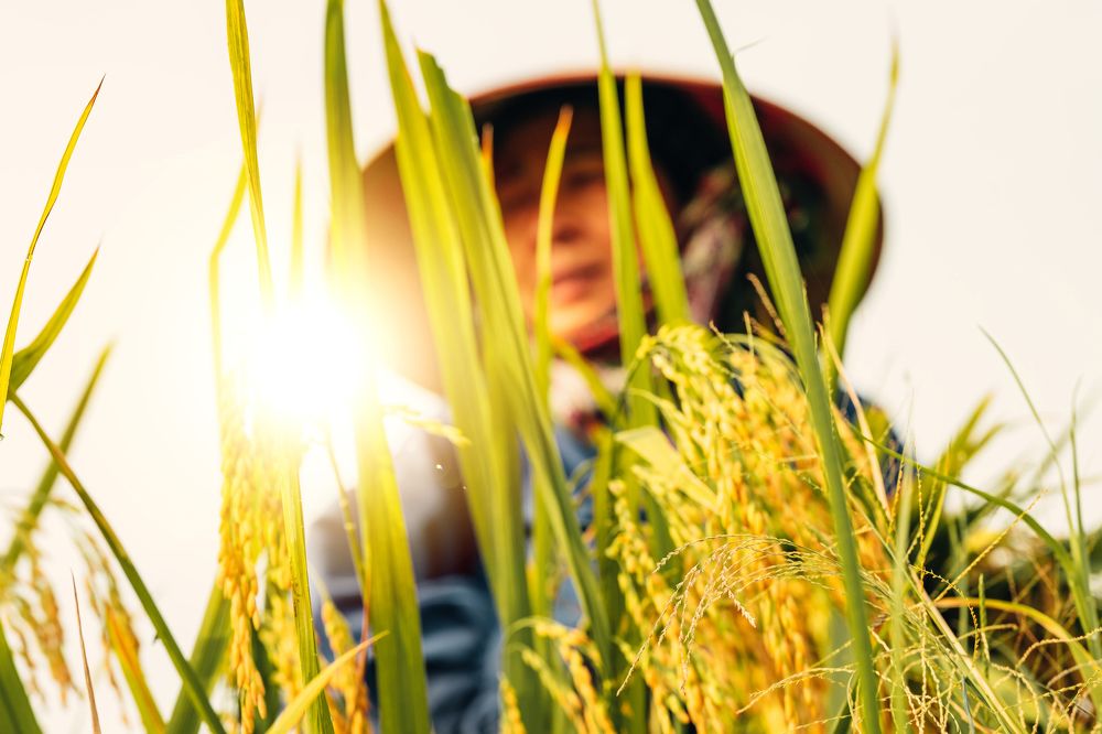 Photograph by Nguyen Ngoc Tuan