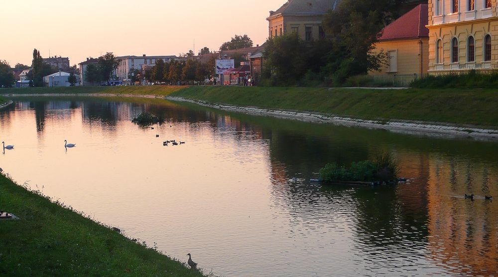 Photo #6287150
