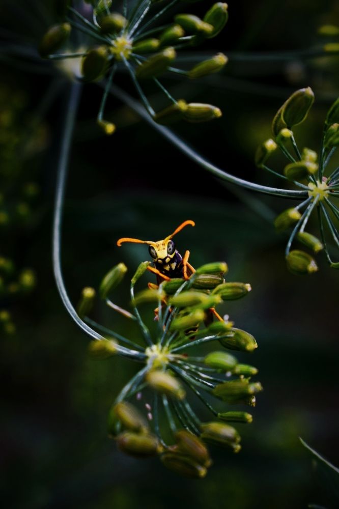 Photograph by Анастасия Бовкунова