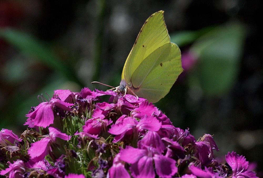 Photograph by Yroslava Veretina