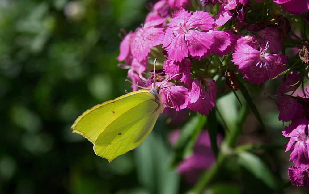 Photograph by Yroslava Veretina