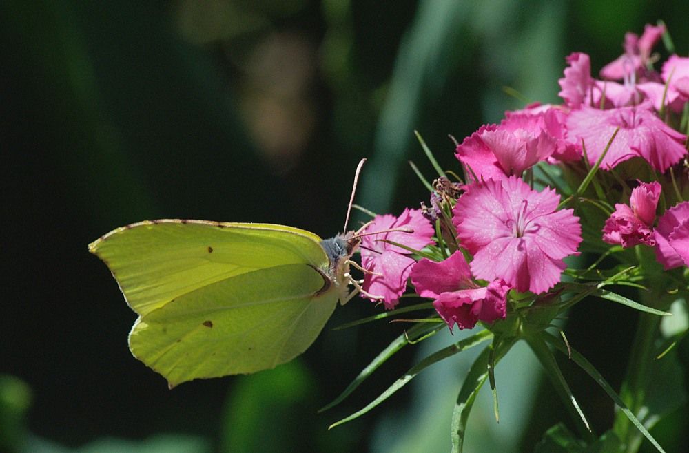 Photograph by Yroslava Veretina