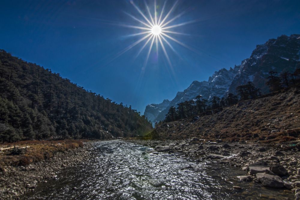 Photograph by Shampa Bhowmik