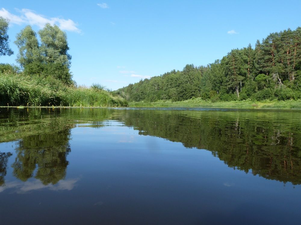 Photograph by Ольга Руднева