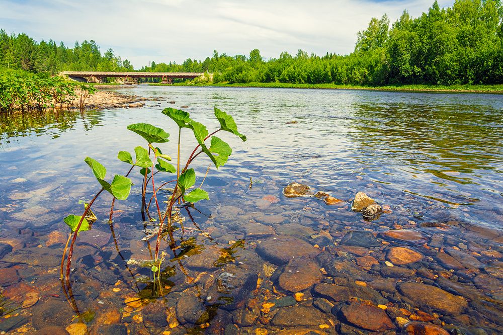 Photograph by Sergey L