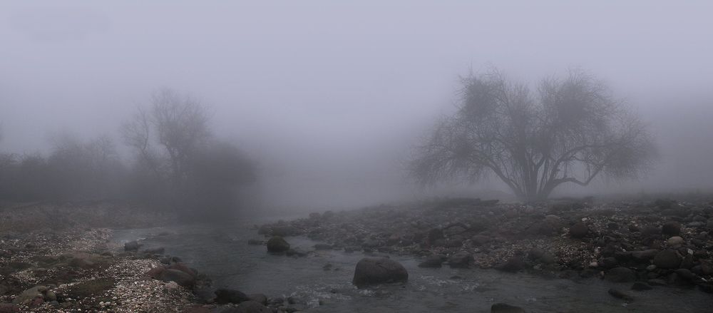 У реки