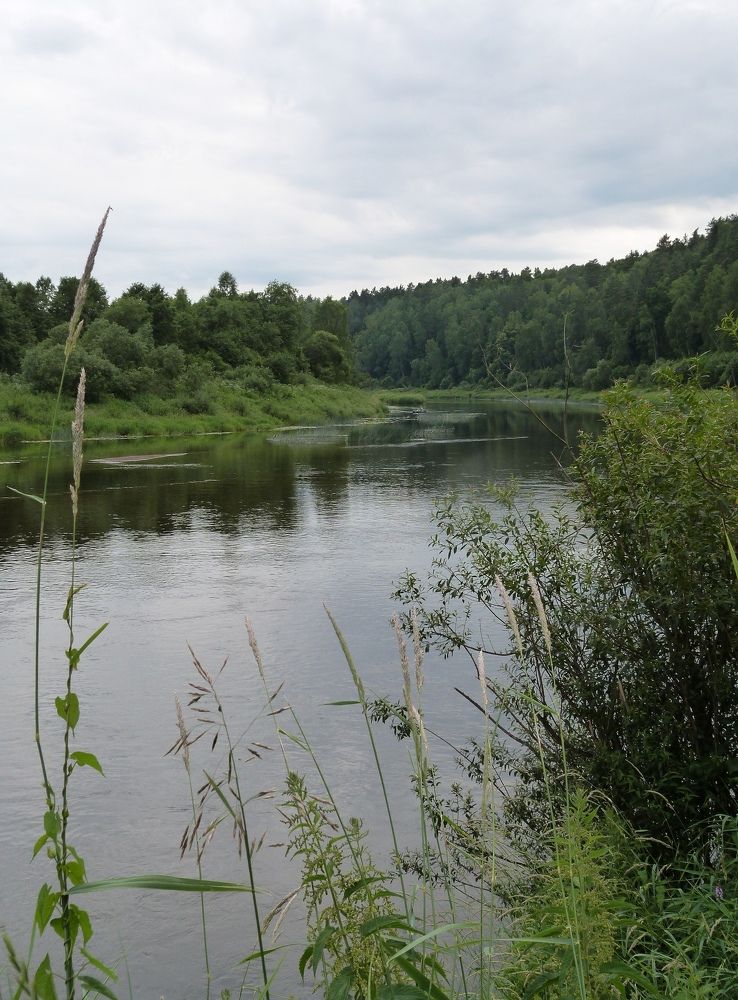 Photograph by Ольга Руднева