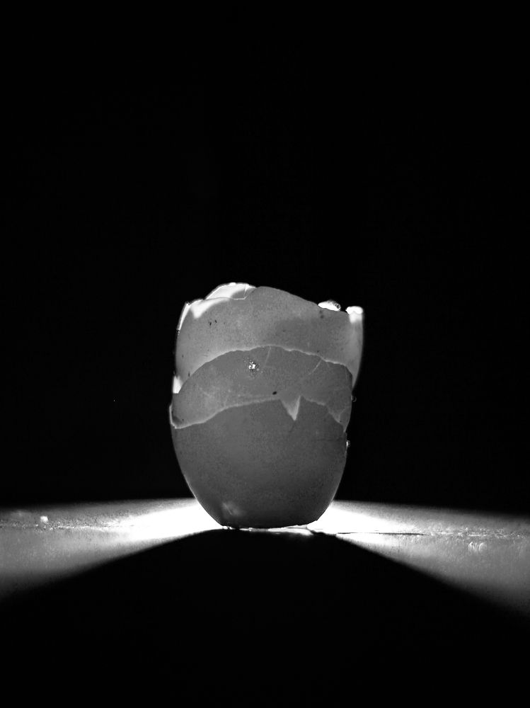 Photograph by Diego Aloma